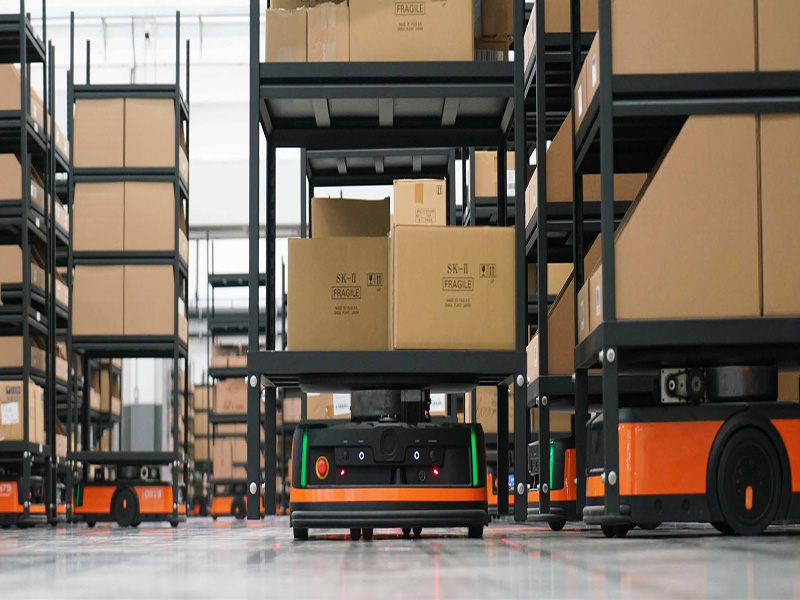 Einführung des Drive-In-Rack-Systems: Optimierung der Lagerhaltung